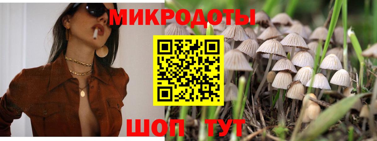 Мирный  Галлюциногенные грибы Psilocybe  Псилоцибиновые грибы Psilocybe  Вход с VPN 